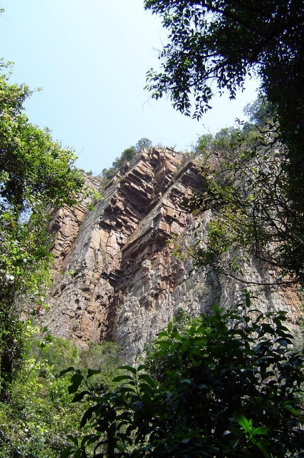 Forest Creek Lodge & Spa Dullstroom Exterior foto