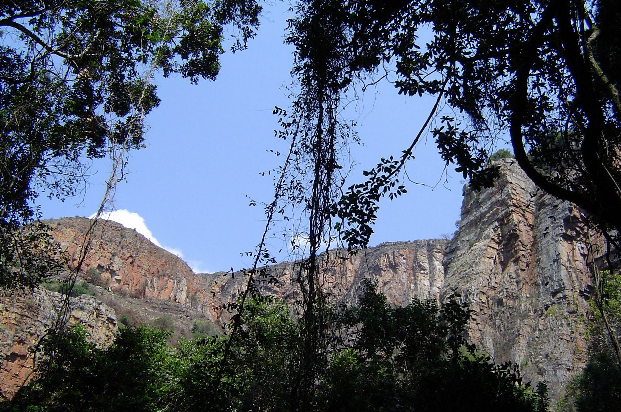 Forest Creek Lodge & Spa Dullstroom Exterior foto